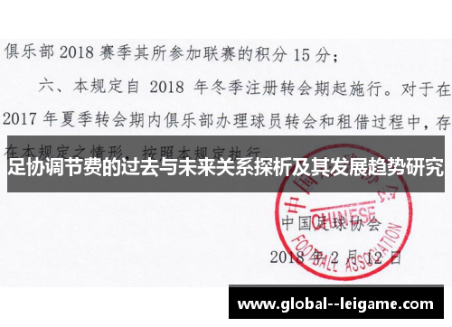 足协调节费的过去与未来关系探析及其发展趋势研究 足协调节费的过去与未来关系探析及其发展趋势研究
